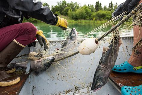 Subsistence fishing – OluKai.